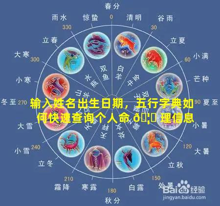 输入姓名出生日期，五行字典如何快速查询个人命 🦁 理信息